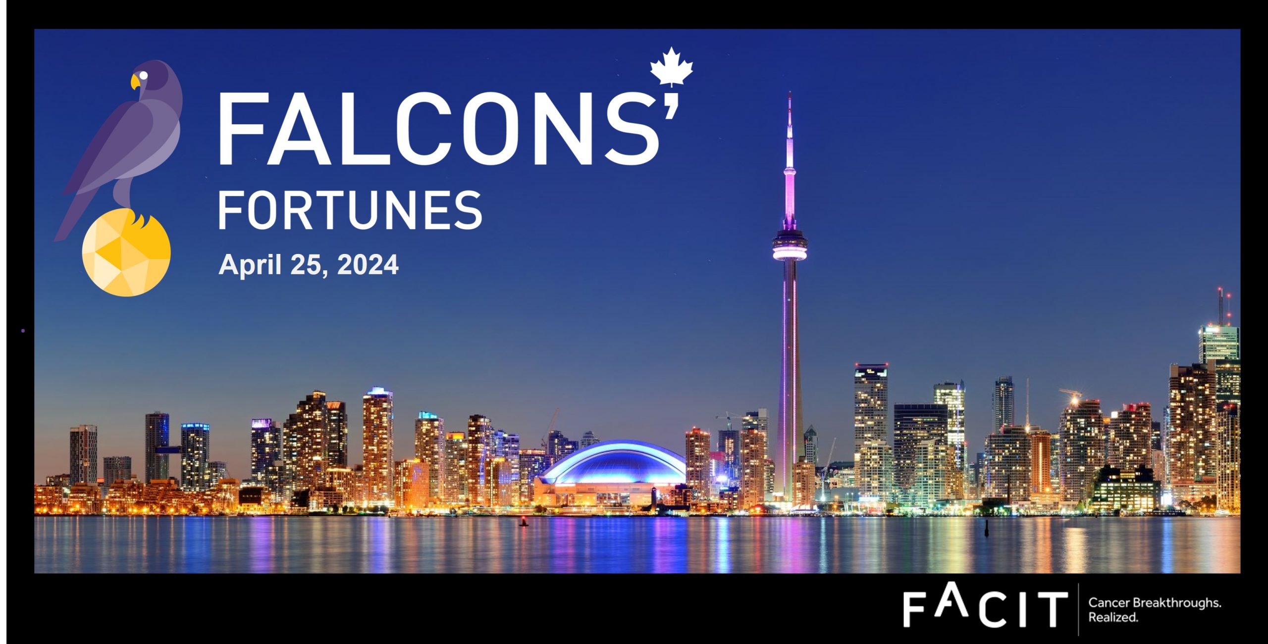 Falcons' Fortunes Pitch Competition Finals Event