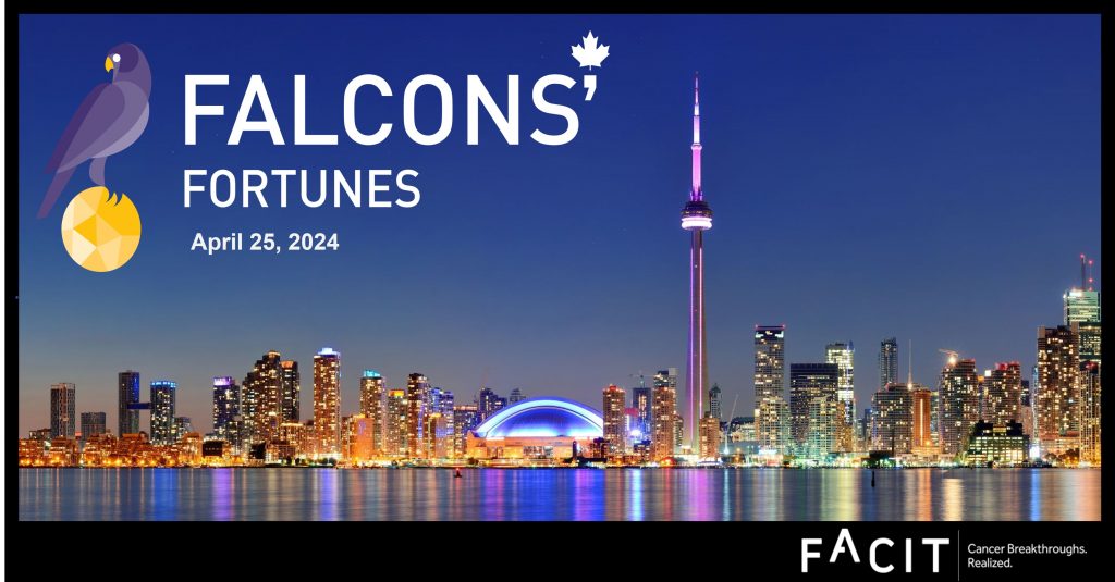Falcons' Fortunes 2024 event poster
