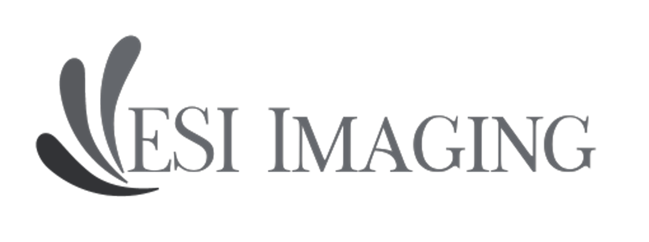 ESI Imaging logo